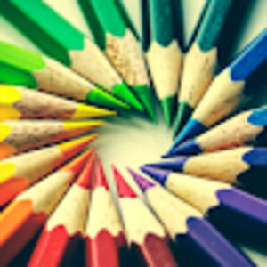 Meet your Posher, Finley